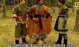 寻秦记1在线观看完整,探寻历史与现实的交织传奇